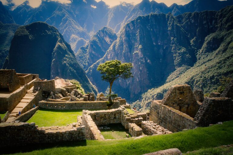 Kamel Zuzana - kamel-zuzana-Inca-square